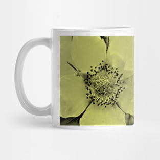 Glacier National Park, flower tint Mug